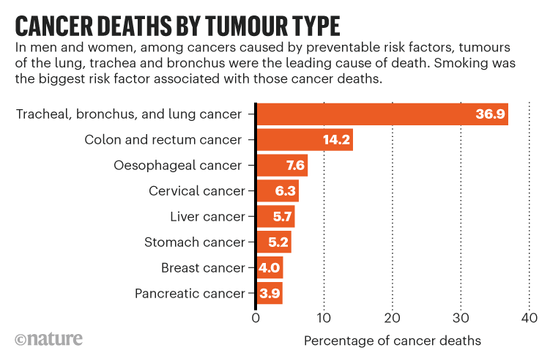 Many Cancer Deaths Are Preventable